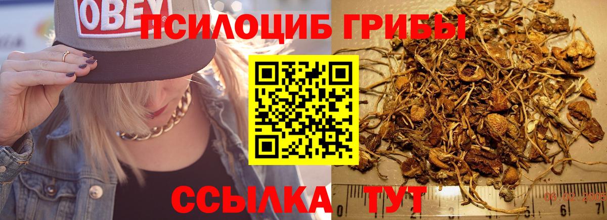 Воркута  Псилоцибиновые грибы Magic Shrooms  Вход с VPN 