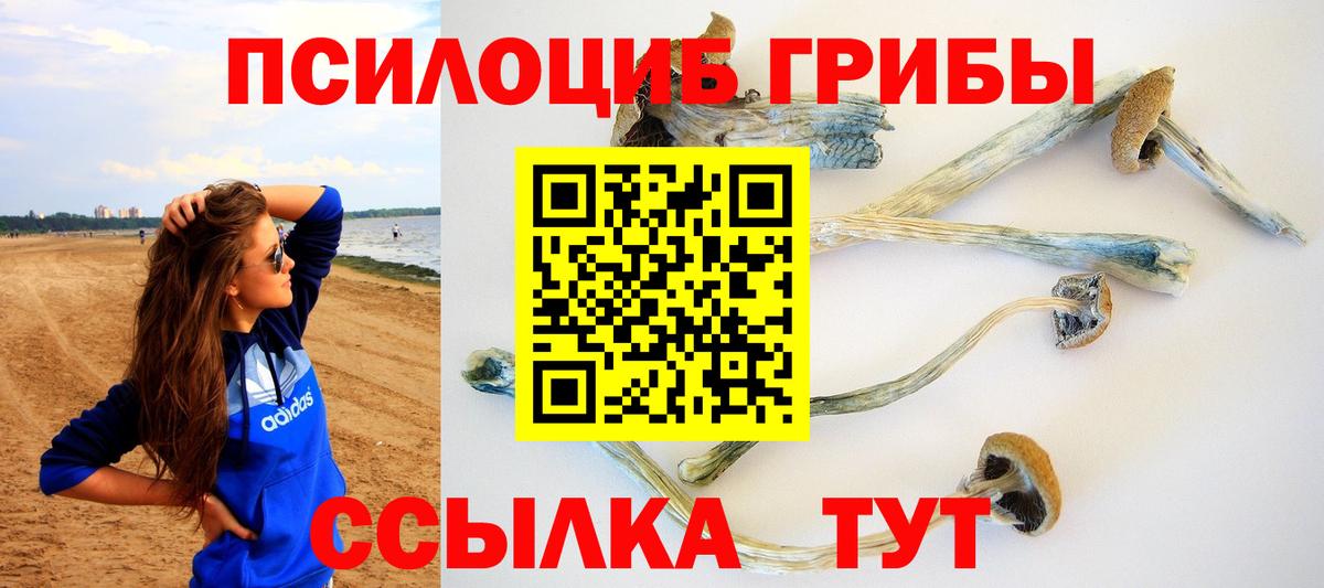 Псилоцибиновые грибы ЛСД Воркута